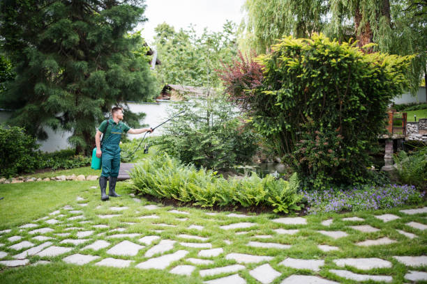 Best Pest Control for Lawns  in Hubbard, TX