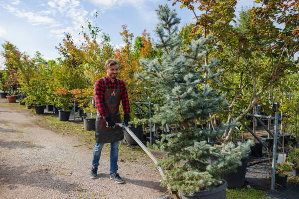 Best Tree Risk Assessment  in Hubbard, TX